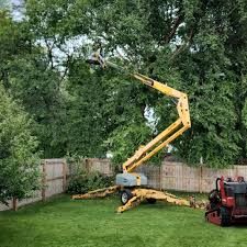 Lawn Irrigation Installation and Maintenance in Wilder, ID