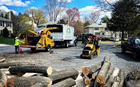 How Our Tree Care Process Works  in  Wilder, ID